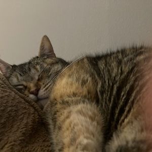 Meet your Posher, Leslie